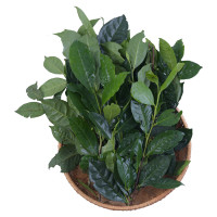 Chè Xanh Rau Cười Việt Nhật 300G