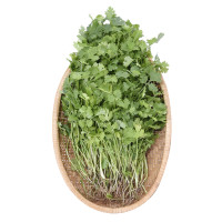 Ngò Rí Rau Cười Việt Nhật 100G