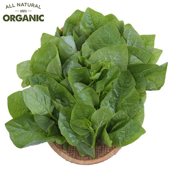 Rau Mồng Tơi Rau Cười Việt Nhật 300G