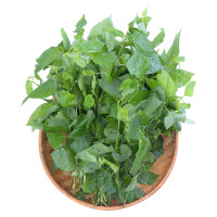 Rau Ngót Nhật Rau Cười Việt Nhật 300G