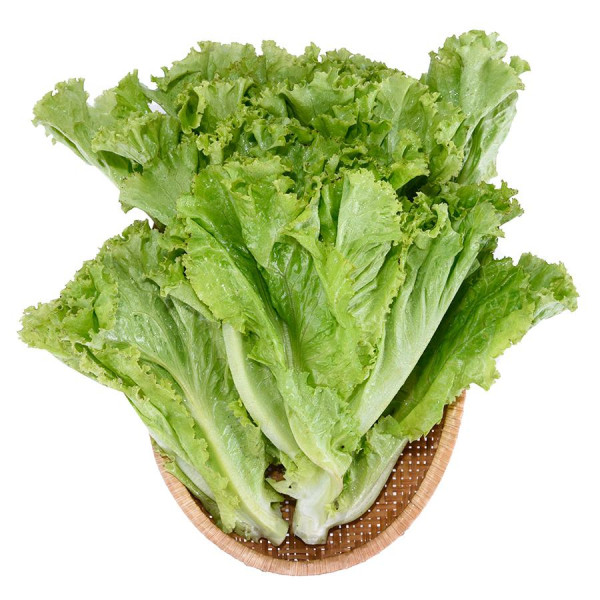 Xà Lách Lolo Xanh Organic Food King 300G