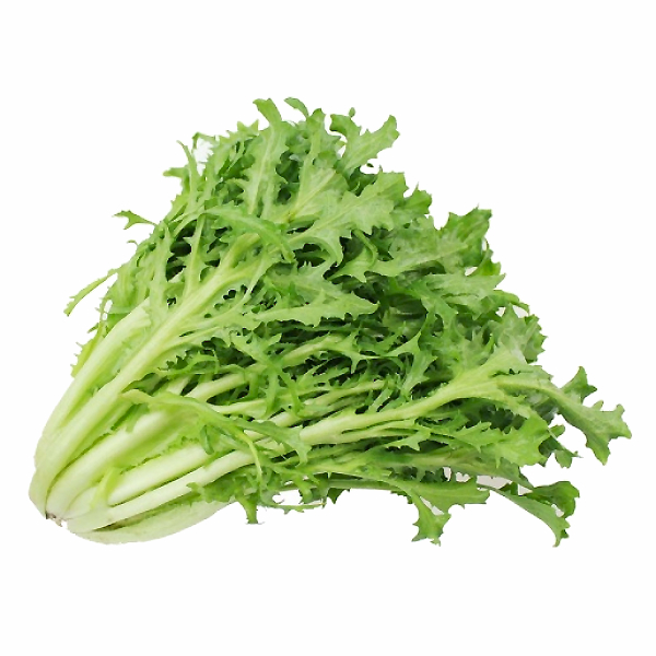 Xà Lách Frise Song Quân 300G