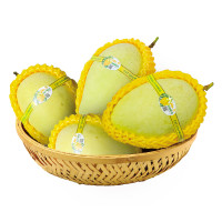 Xoài Cát Chu Vàng Mr 9 (Kg) ~350G/Trái