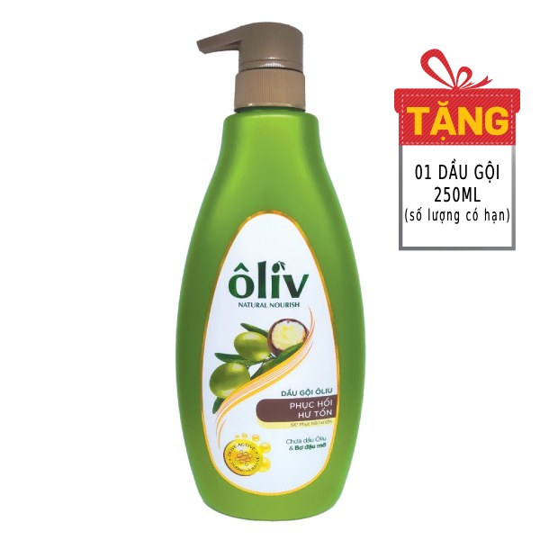 Dầu Gội Ôliv Phục Hồi Hư Tổn 650Ml