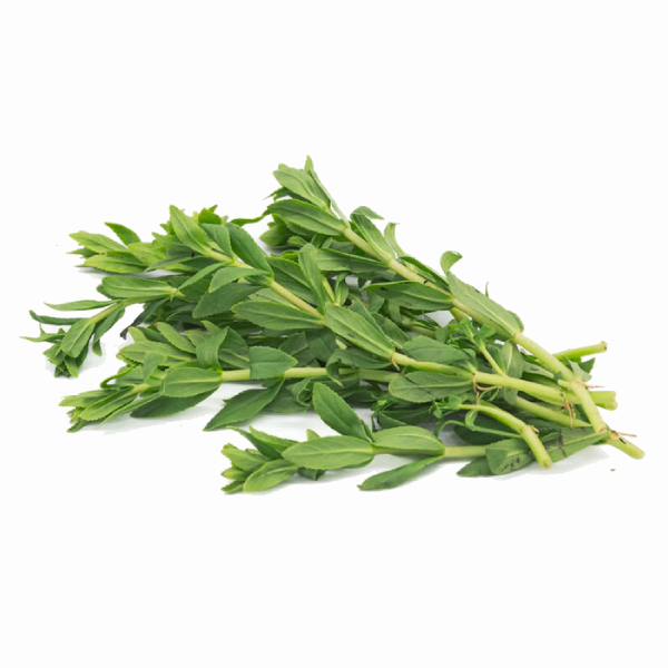 Rau Ngò Ôm Phú Lộc VietGAP 100G