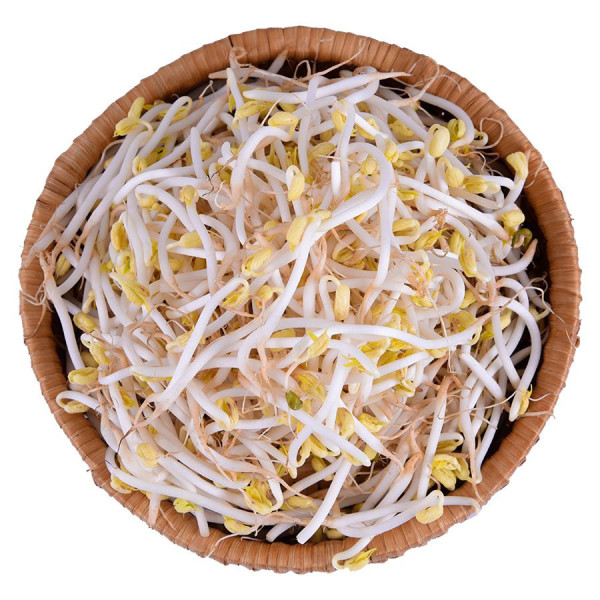Giá Đậu Xanh 200G