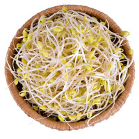 Giá Đậu Nành 150G