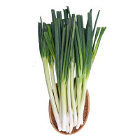 Hành Paro PT Farm 250G