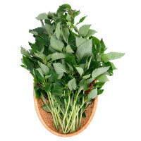 Rau Kinh Giới 100G