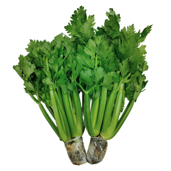 Cần Tây Baby Cao Nguyên 400G