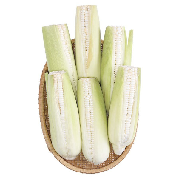 Bắp Nếp Hosheki 2 Trái