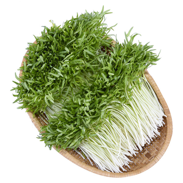 Rau Mầm Rau Muống 200G
