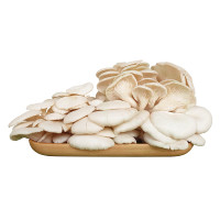 Nấm Bào Ngư Trắng 200G