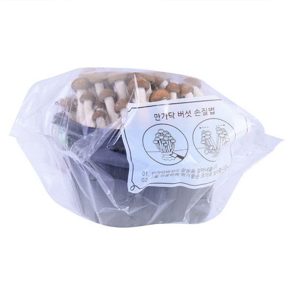 Nấm Linh Chi Nâu Hàn Quốc 150G