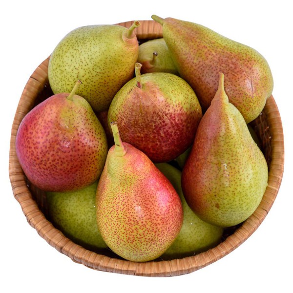 Lê Nam Phi Hộp 800G