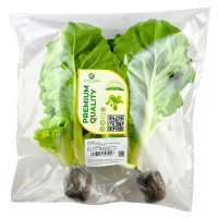 Cải Thìa Thủy Canh Vitec Farm 300G